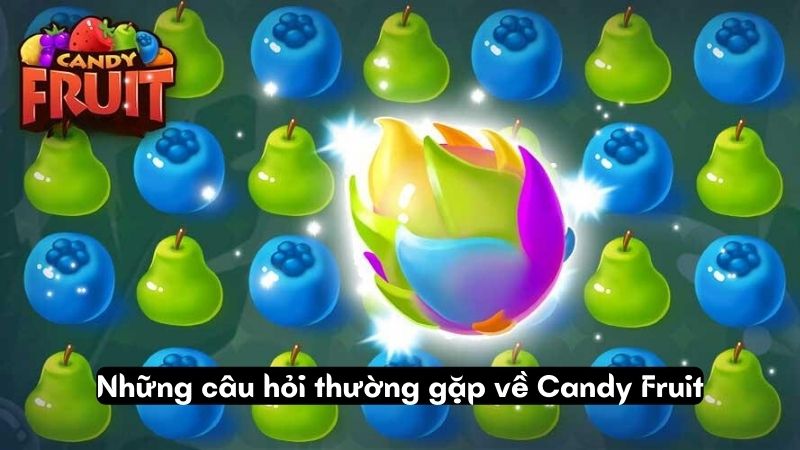 Những câu hỏi thường gặp về Candy Fruit