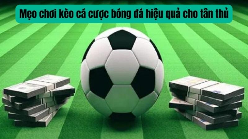 Mẹo chơi kèo cá cược bóng đá hiệu quả cho tân thủ