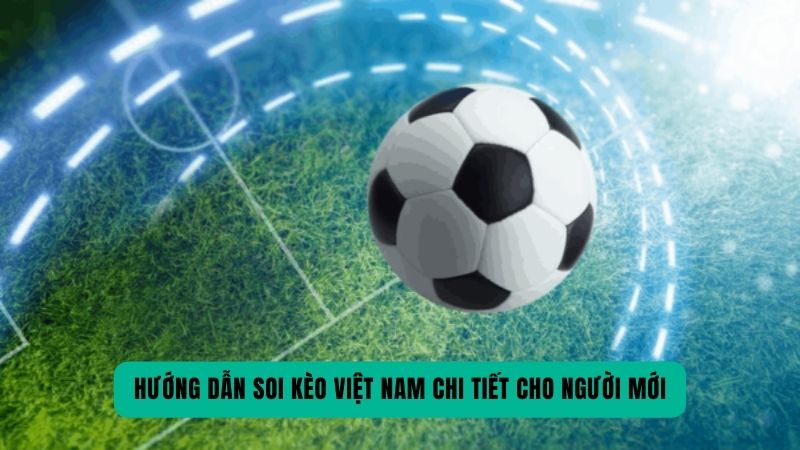 Hướng dẫn soi kèo Việt Nam chi tiết cho người mới