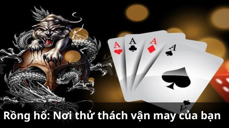 Giới thiệu về rồng hổ