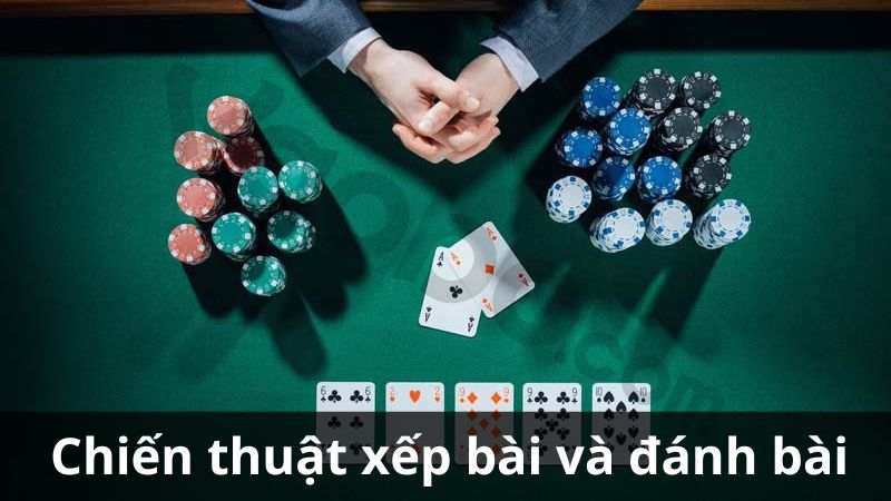 Chiến thuật chơi xì tố online hiệu quả